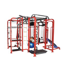 室内健身房综合训练器 多功能健身器材及配套教育软件的应用
